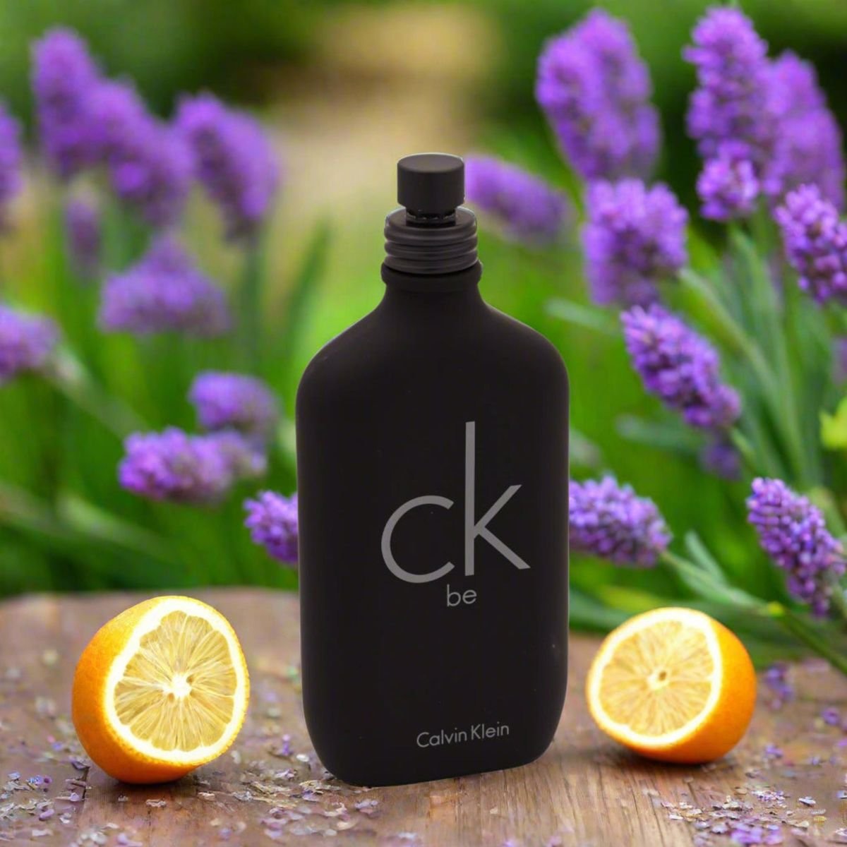 6771ba64cc382d0ed73bb6644a66930e